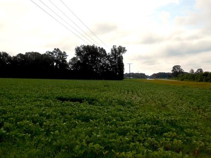 Property in Martin County, North Carolina