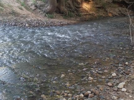 Property in Wharton County, Texas