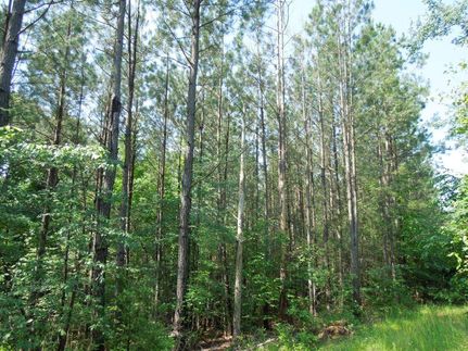 Property in Caswell County, North Carolina