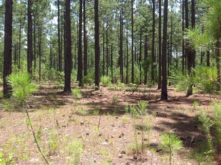 Property in Moore County, North Carolina