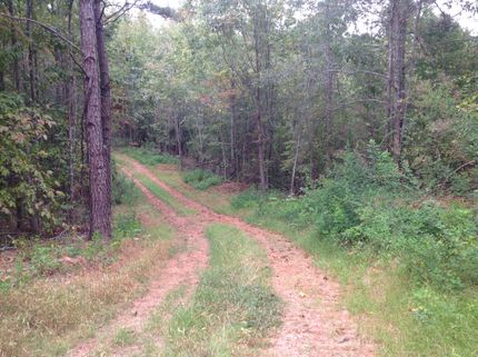 Property in Clay County, Alabama