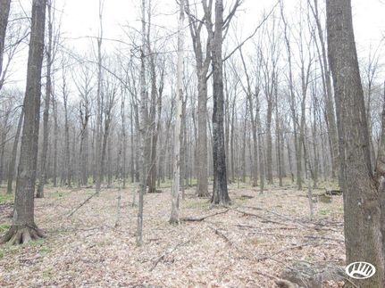Property in Shawano County, Wisconsin