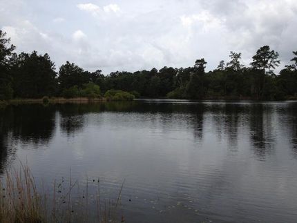 Property in Tangipahoa Parish, Louisiana