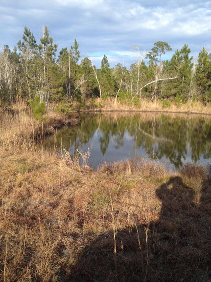 Property in Harrison County, Mississippi