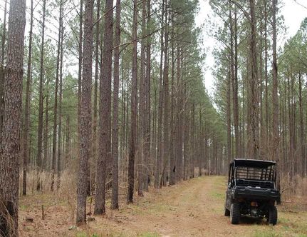 Property in Pike County, Alabama