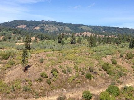 Property in Adams County, Idaho