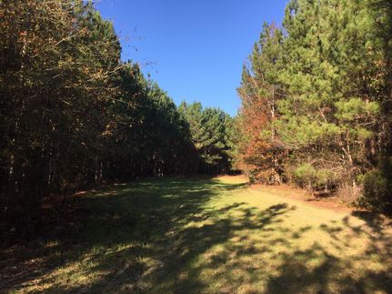 Property in Pike County, Alabama