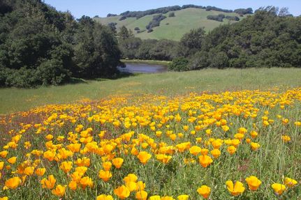 Property in Sonoma County, California