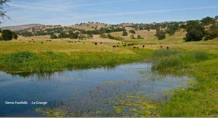 Property in Mariposa County, California