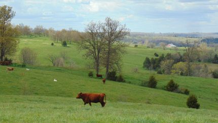 Property in Wright County, Missouri