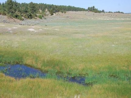 Property in Musselshell County, Montana