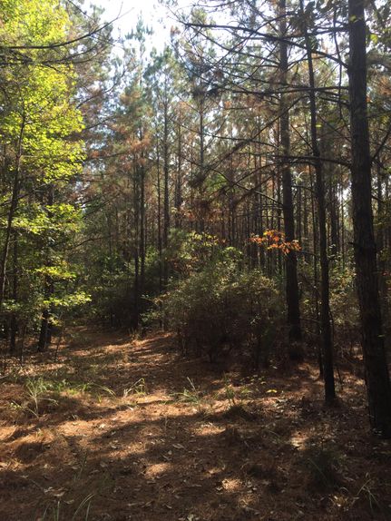 Property in Rapides Parish, Louisiana