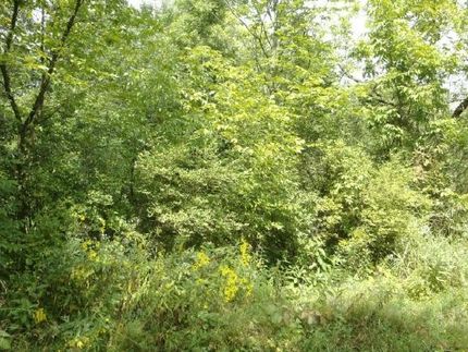 Property in Pine County, Minnesota