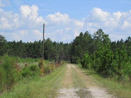 Property in Union County, Florida