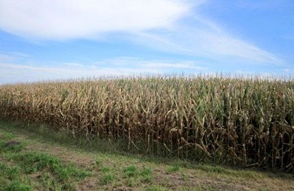 Property in Putnam County, Illinois