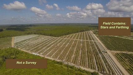 Property in Clinch County, Georgia