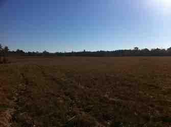 Property in Greene County, Alabama