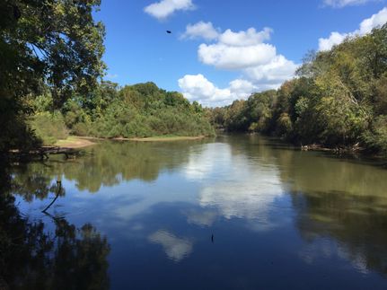 Property in Houston County, Georgia