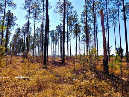 Property in Bulloch County, Georgia