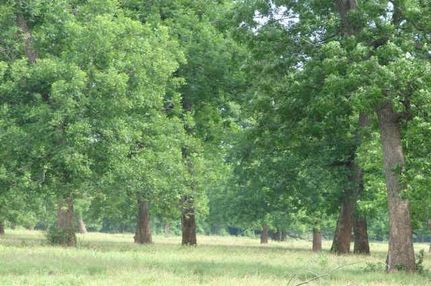 Property in Okmulgee County, Oklahoma
