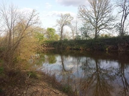 Property in Dallas County, Missouri