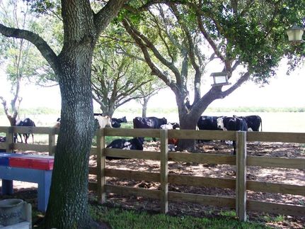 Property in Colorado County, Texas