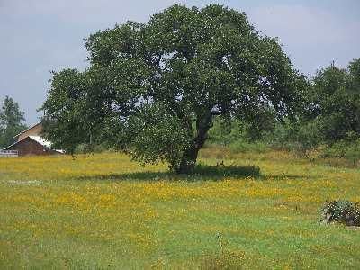Property for sale in Llano County, Texas