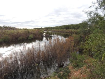 Property in Runnels County, Texas