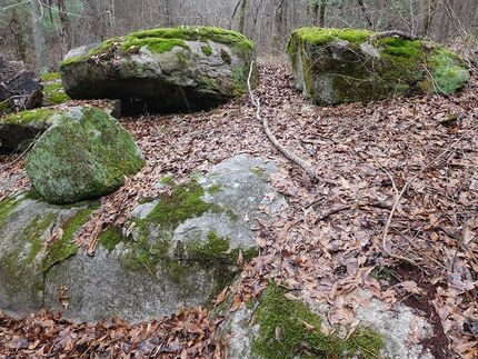 Property in Warren County, Georgia