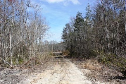 Property in Chatham County, Georgia