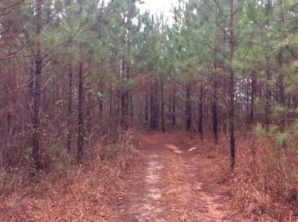 Property in Union County, Mississippi