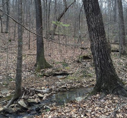 Property in Jefferson County, Alabama