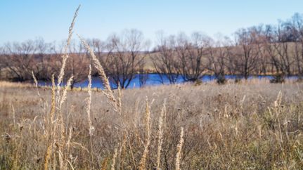 Property in Worth County, Missouri