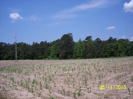Property in Calhoun County, South Carolina