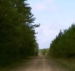 Property in Hardin County, Texas