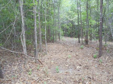 Property in Upshur County, Texas