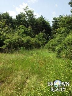 Property in West Carroll Parish, Louisiana