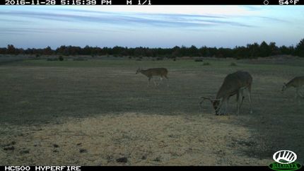 Property in Woodward County, Oklahoma