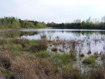 Property in Searcy County, Arkansas