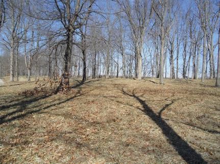 Property in Wabash County, Indiana