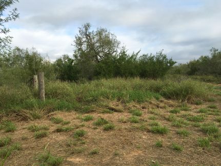 Property in Duval County, Texas