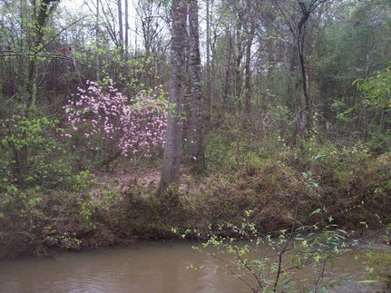 Property in Elmore County, Alabama