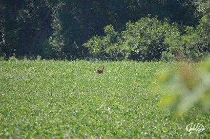 Property in Otoe County, Nebraska