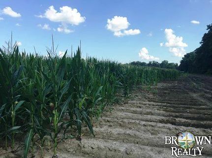 Property in West Carroll Parish, Louisiana