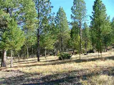 Property in Ravalli County, Montana