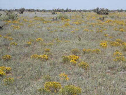 Property in Quay County, New Mexico