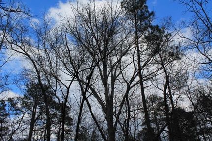 Property in Moore County, North Carolina