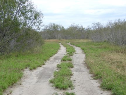 Property in Duval County, Texas