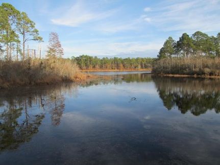 Property in Bulloch County, Georgia
