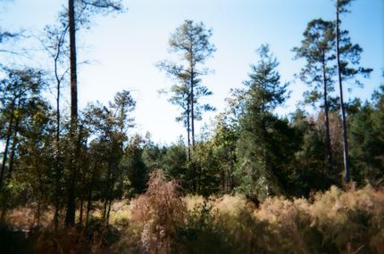 Property in Fairfield County, South Carolina